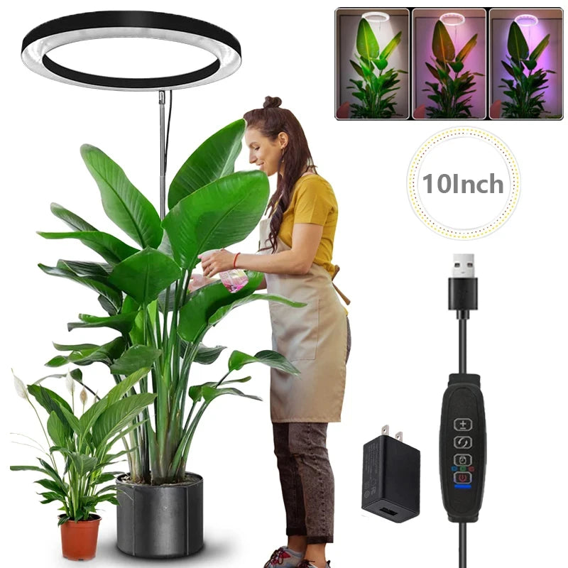 165cm Adjustable Ring LED Grow Light Full Spectrum Indoor Plant Lamp with Timer - Image 6