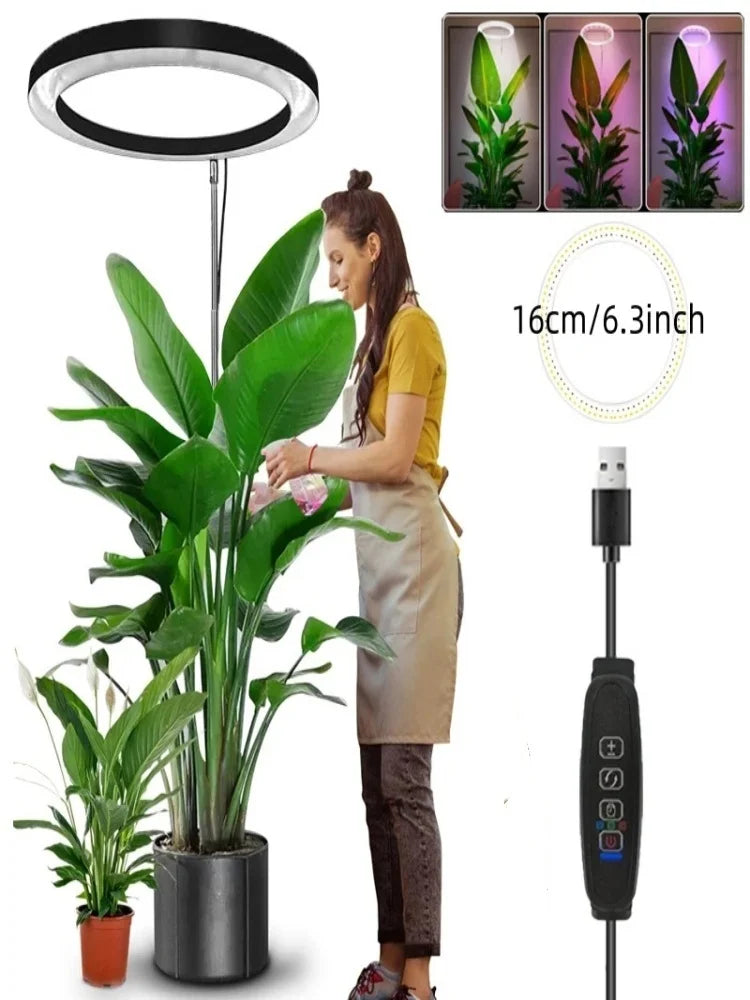 165cm Adjustable Ring LED Grow Light Full Spectrum Indoor Plant Lamp with Timer - Image 4