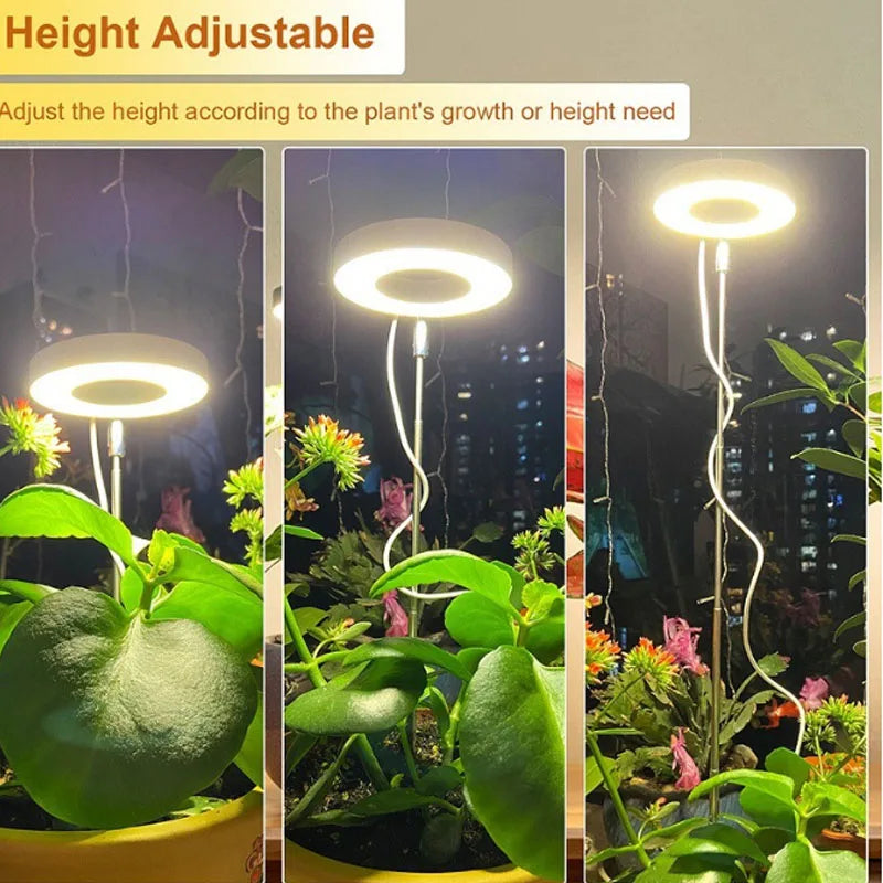 LED Grow Light Full Spectrum Dimmable Plant Lamp with Timer for Indoor Plants - Image 2