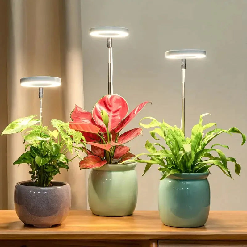 LED Grow Light Full Spectrum Dimmable Plant Lamp with Timer for Indoor Plants