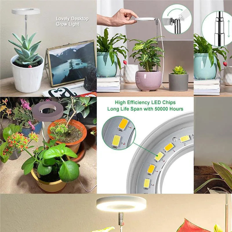 LED Grow Light Full Spectrum Dimmable Plant Lamp with Timer for Indoor Plants - Image 5