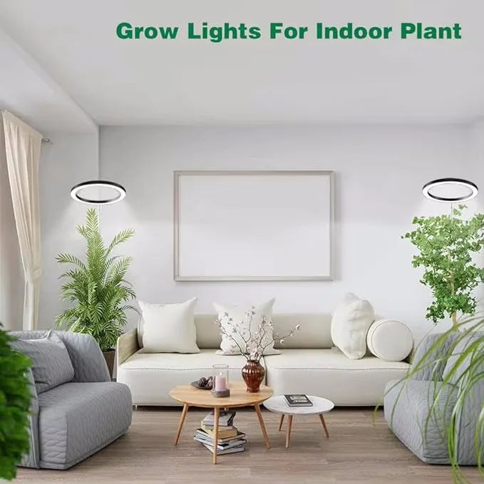 165cm Adjustable Ring LED Grow Light Full Spectrum Indoor Plant Lamp with Timer - Image 2