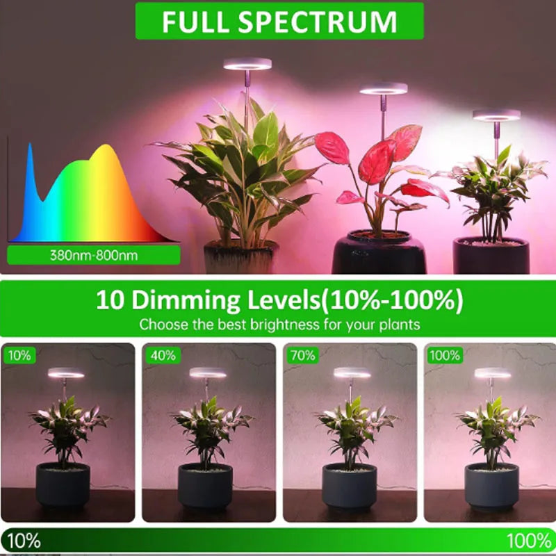 LED Grow Light Full Spectrum Dimmable Plant Lamp with Timer for Indoor Plants - Image 4